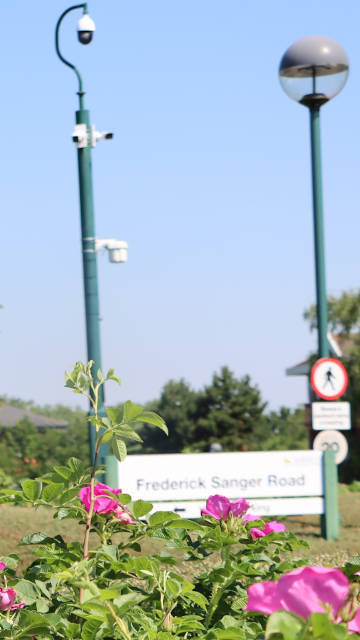 A CCT camera with multiple cameras is in the background. In the foreground a flowering Camila bush.