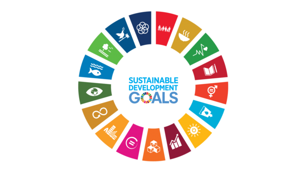 SDG logo