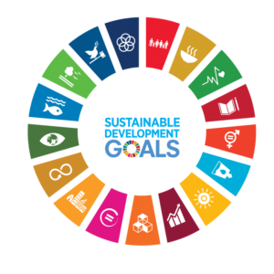 SDG logo