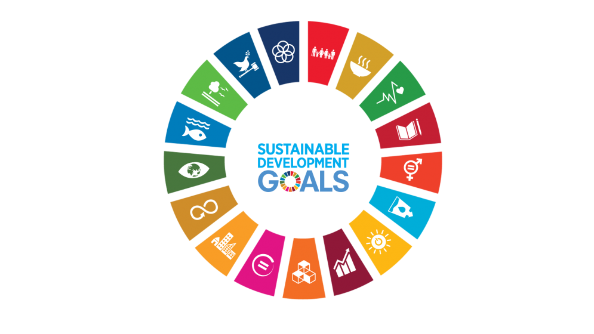 SDG logo