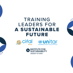 CIFAL branding