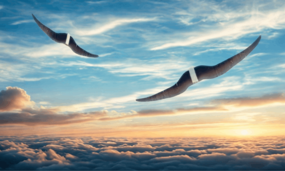Soaring bird wing drones