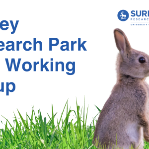 A bunny on a white background with the title "Surrey Research Park ESG Group"