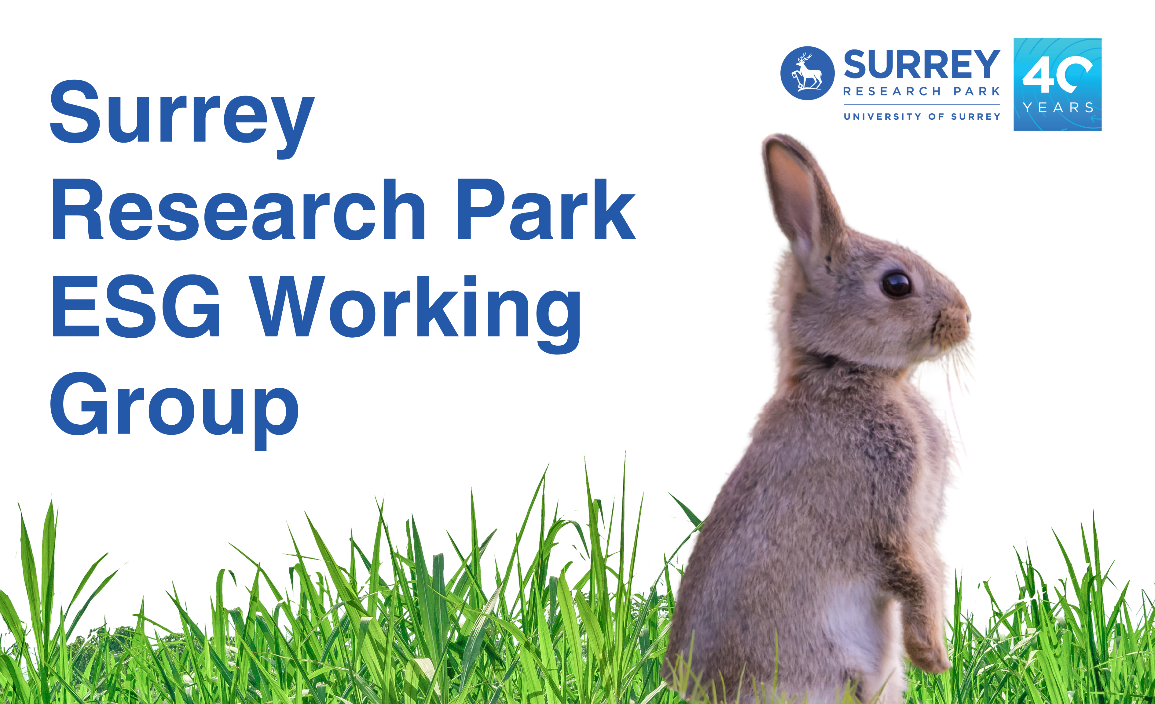A bunny on a white background with the title "Surrey Research Park ESG Group"